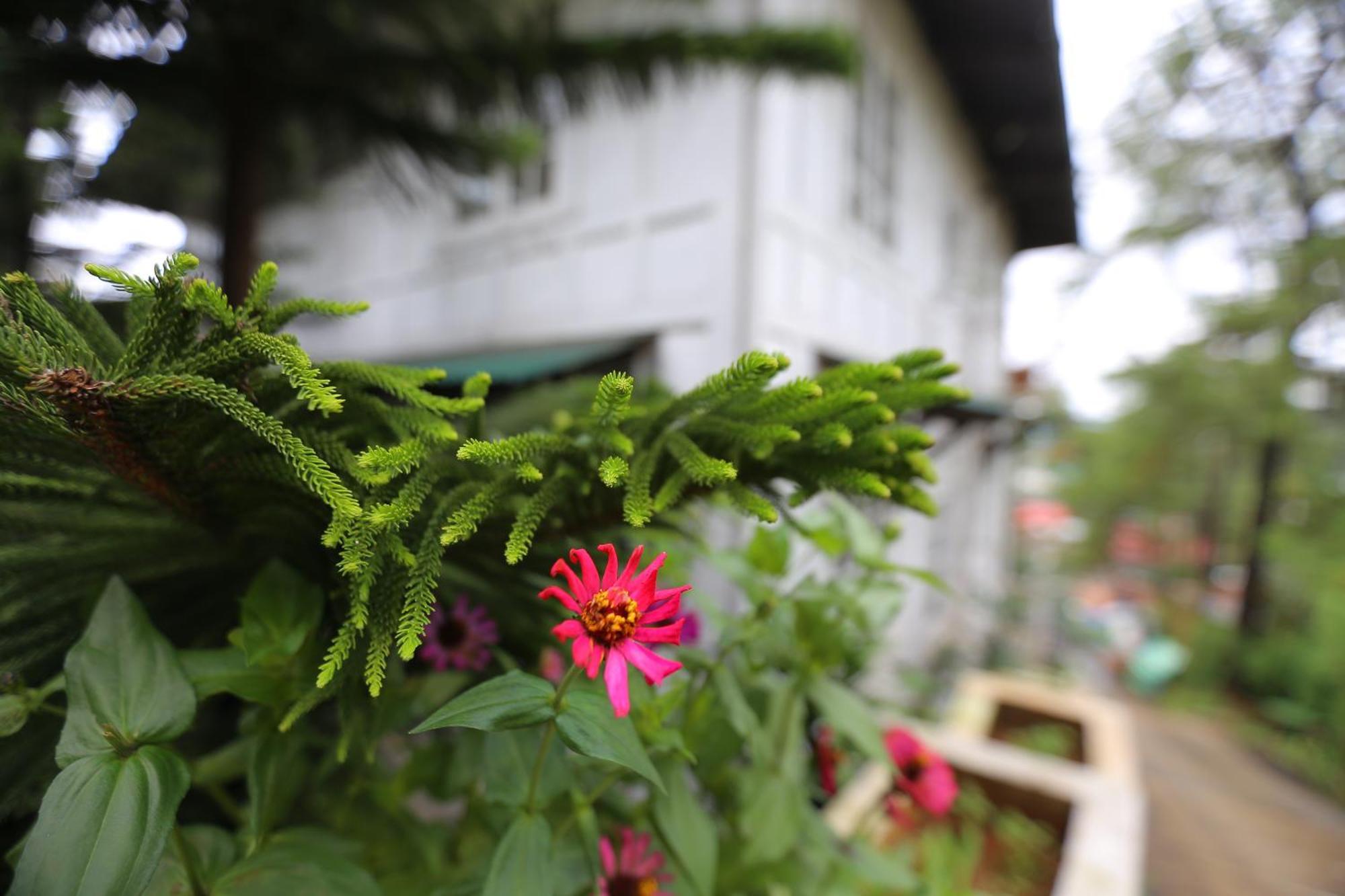 Casa Vallejo Hotel Baguio Baguio City Ngoại thất bức ảnh